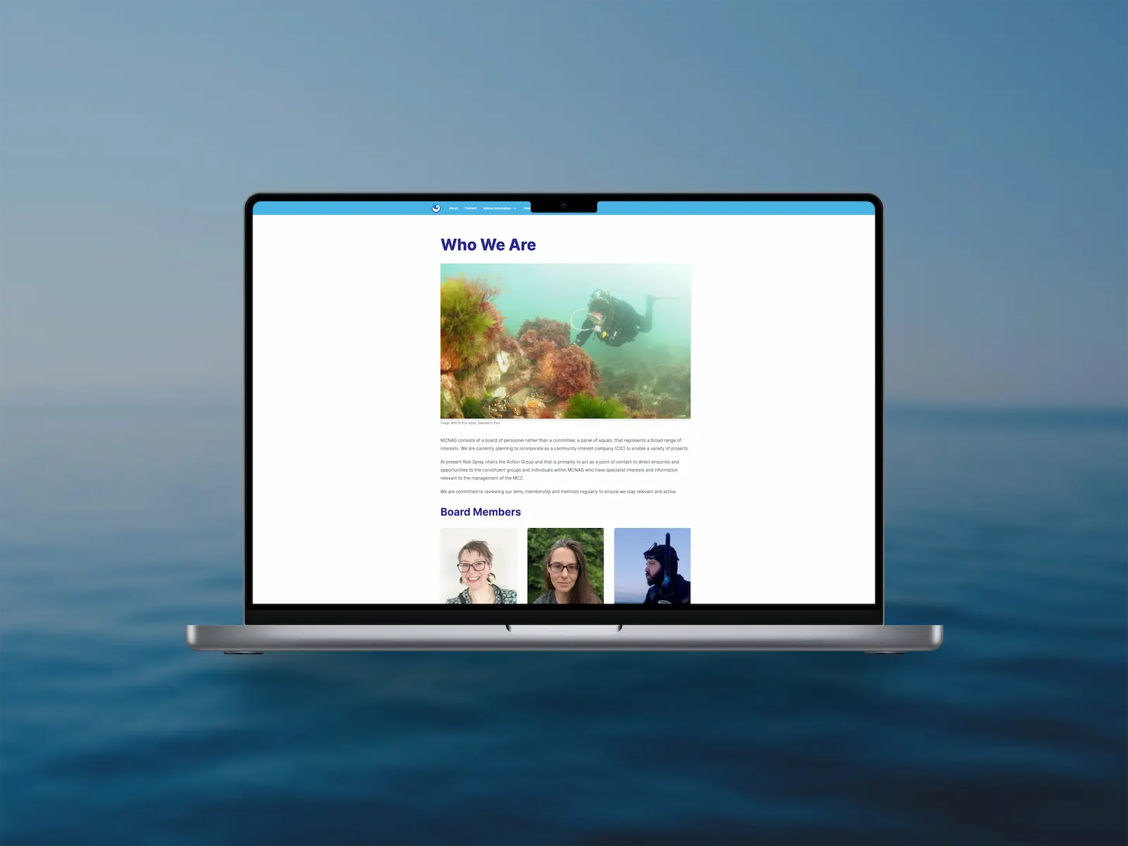 Close-up screenshot of one of the form segments