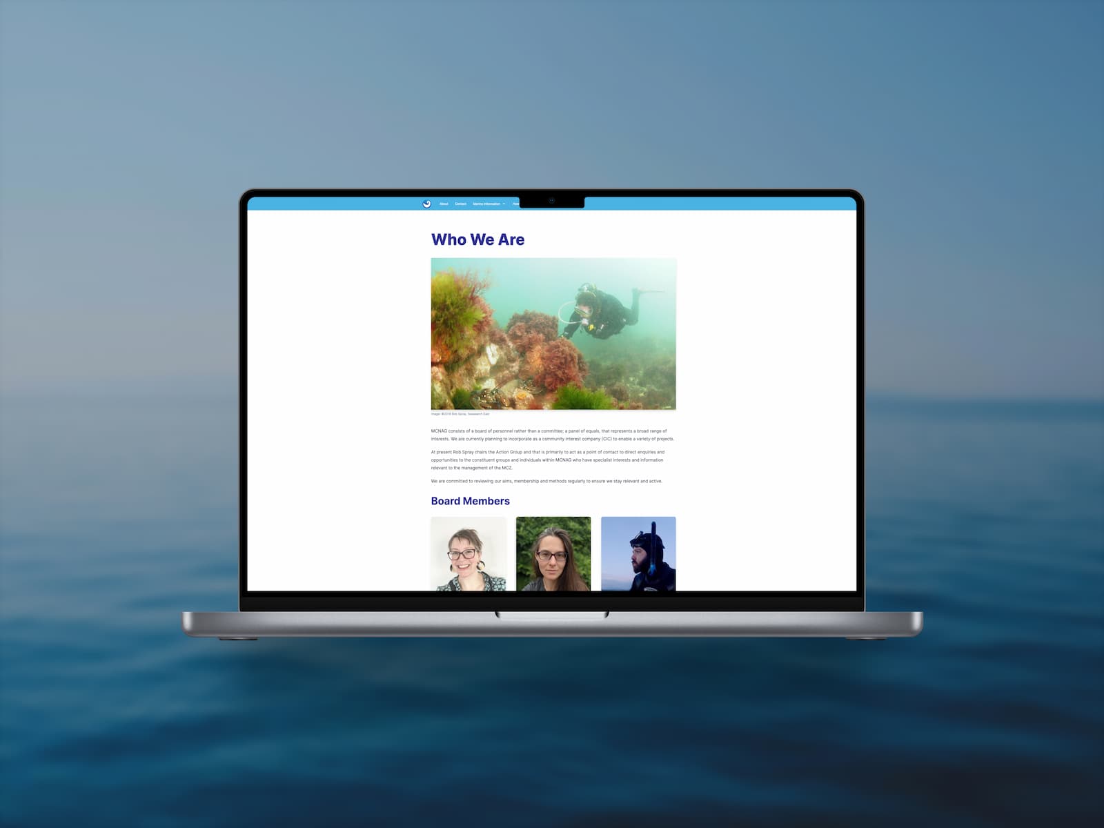 Close-up screenshot of one of the form segments