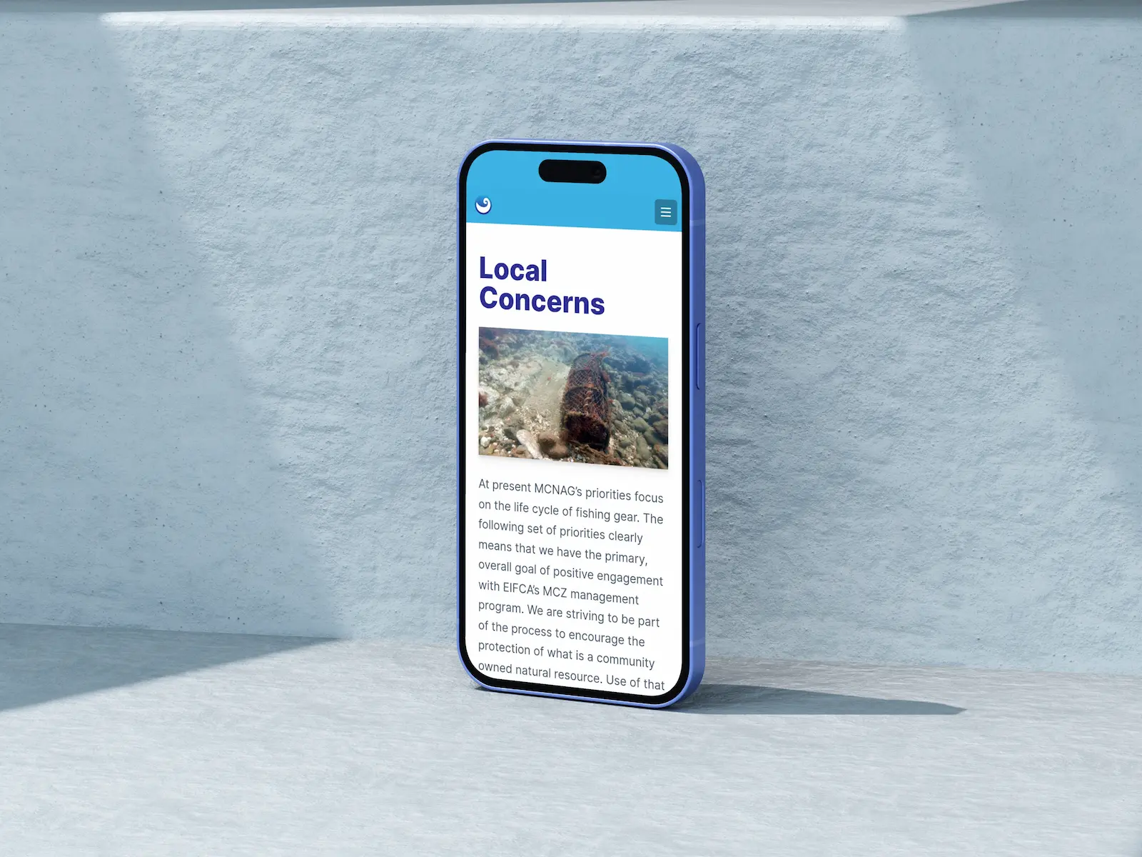 Close-up screenshot of one of the search field