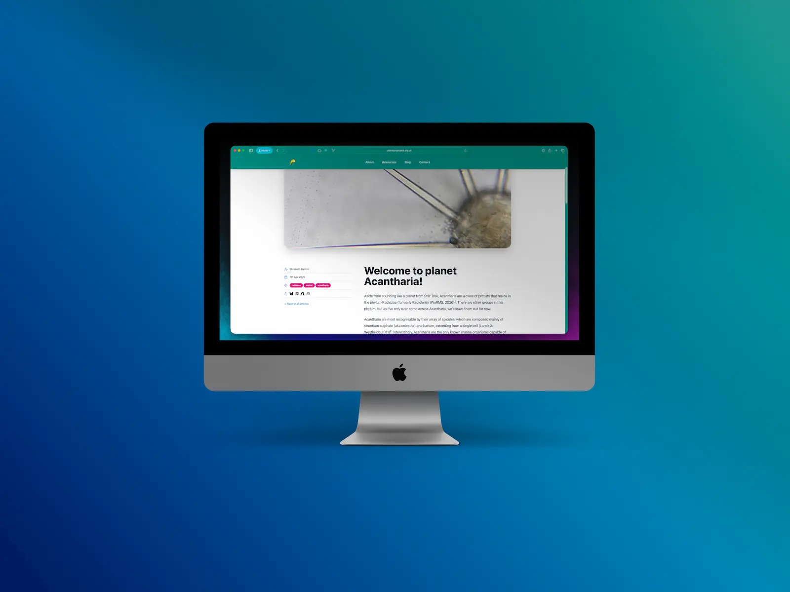 An example of the blog page on an iMac, showing the blog post title, date and content.